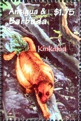 Colnect-4101-230-Kinkajou.jpg