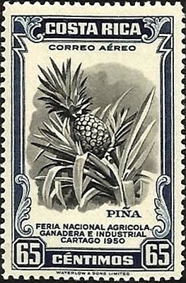 Colnect-2258-524-Pineapple.jpg