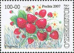 Colnect-843-824-Fragaria.jpg