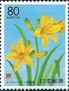 Colnect-2179-268-Daylily.jpg