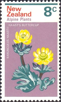 Colnect-2076-229-Buttercup.jpg