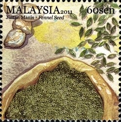 Colnect-1435-392-Fennel-Seed.jpg