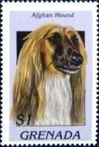 Colnect-4581-342-Afghan-hound.jpg