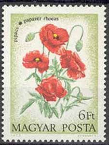 Colnect-531-372-Poppies.jpg