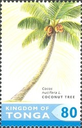 Colnect-2373-387-Coconut.jpg