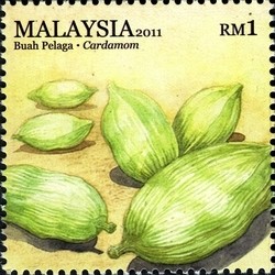 Colnect-1435-391-Cardamom.jpg