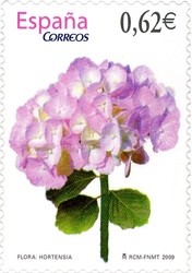 Colnect-430-439-Hydrangea.jpg