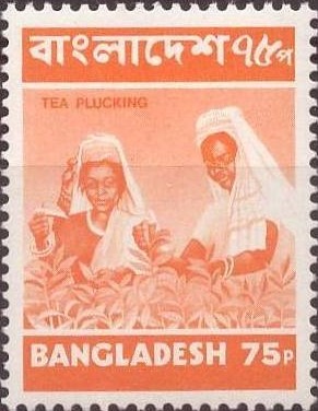 Colnect-2078-853-Tea-Picking.jpg