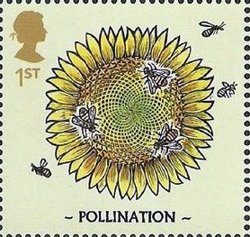 Colnect-2980-903-Pollination.jpg