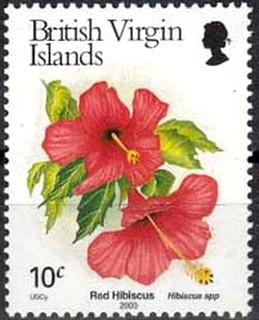 Colnect-3082-863-Red-hibiscus.jpg