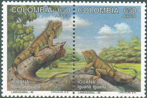 Colnect-4100-163-Green-Iguana.jpg