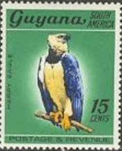 Colnect-867-163-Harpy-Eagle.jpg