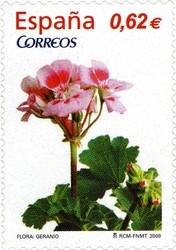 Colnect-430-441-Geranium.jpg