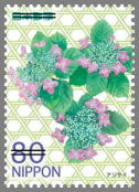 Colnect-1997-543-Hydrangea.jpg