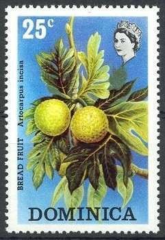 Colnect-1099-445-Breadfruit.jpg