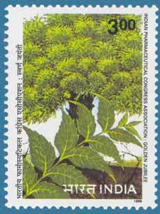 Colnect-550-048-Neem-Tree.jpg