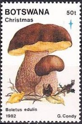 Colnect-1754-734-King-boletus.jpg