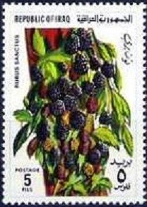 Colnect-2097-814-Blackberries.jpg