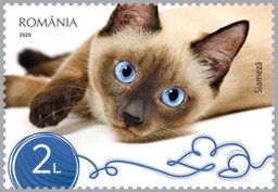 Colnect-6480-914-Siamese-Cat.jpg