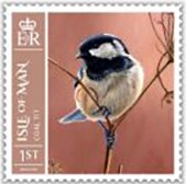 Colnect-6090-534-Coal-Tit.jpg