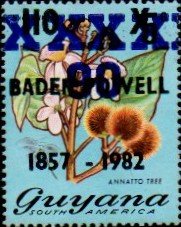 Colnect-4845-281-90-on-110-on-5c-Annatto-Tree-Baden-Powell.jpg