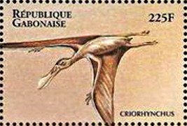 Colnect-5235-325-Criorhynchus.jpg