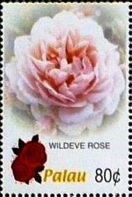 Colnect-5861-885-Wildeve-rose.jpg