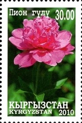 Colnect-1535-263-Peonies-2.jpg