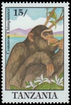 Colnect-4729-567-Chimpanzee.jpg