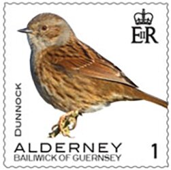 Colnect-6440-728-Dunnock.jpg