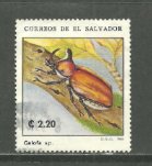 Colnect-4880-797-Beetles.jpg