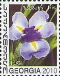 Colnect-1107-679-Iris.jpg