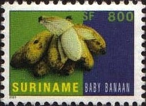 Colnect-2080-967-Dwarf-Banana.jpg