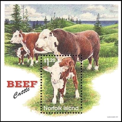 Colnect-2475-777-Beef-Cattle.jpg