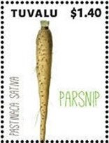 Colnect-6344-801-Parsnip.jpg