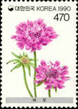 Colnect-2770-821-Scabiosa.jpg