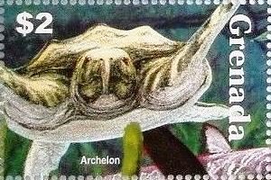 Colnect-4197-840-Archelon.jpg