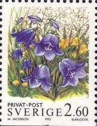 Colnect-436-489-Harebells.jpg