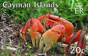 Colnect-598-089-Land-crab.jpg