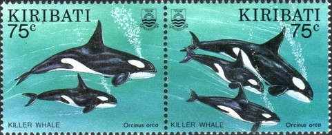 Colnect-1754-038-Orcinus-orca.jpg