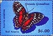 Colnect-4359-008-Red-anartia.jpg