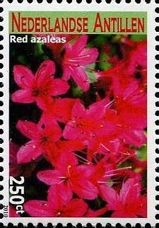 Colnect-4563-018-Red-azaleas.jpg