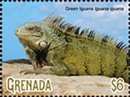 Colnect-5727-078-Green-Iguana.jpg