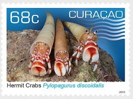 Colnect-5788-328-Hermit-Crabs.jpg