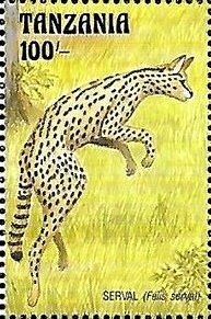 Colnect-6303-508-Felis-serval.jpg