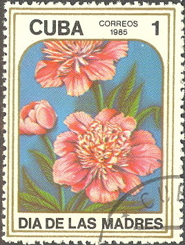 Colnect-681-937-Paeonia.jpg