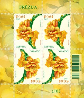 Colnect-3904-984-Freesia.jpg