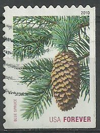 Colnect-4002-769-Blue-Spruce.jpg