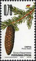 Colnect-588-509-Picea-abies.jpg