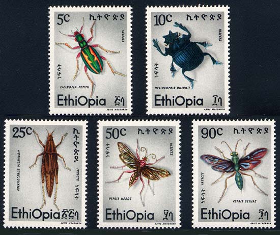 Skap-ethiopia_04_insects.jpg